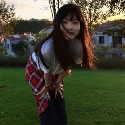 企鹅之岛:福克兰